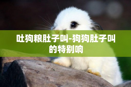吐狗糧肚子叫-狗狗肚子叫的特別響
