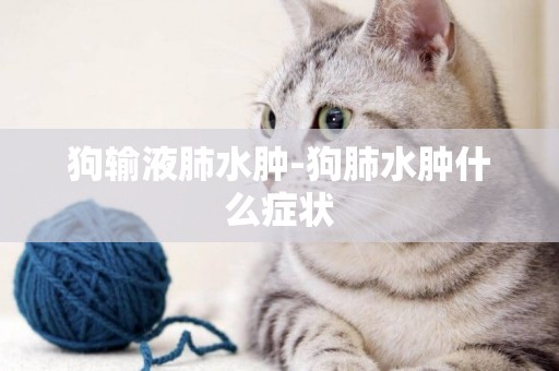 狗輸液肺水腫-狗肺水腫什么癥狀