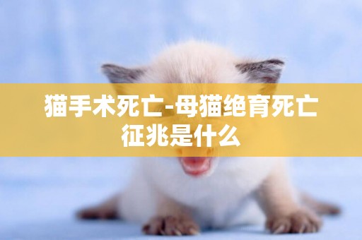 貓手術死亡-母貓絕育死亡征兆是什么