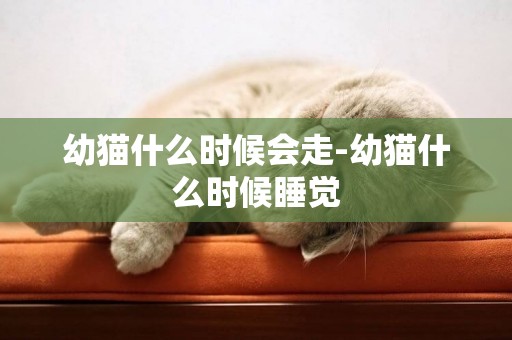 幼貓什么時候會走-幼貓什么時候睡覺