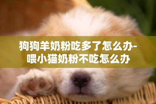 狗狗羊奶粉吃多了怎么辦-喂小貓奶粉不吃怎么辦
