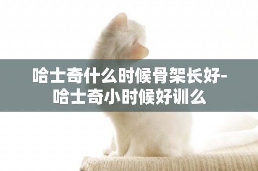 哈士奇什么時候骨架長好-哈士奇小時候好訓么