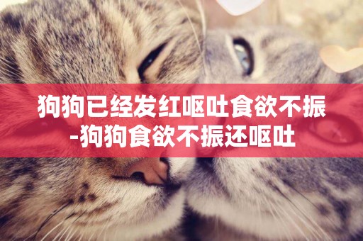 狗狗已經發紅嘔吐食欲不振-狗狗食欲不振還嘔吐