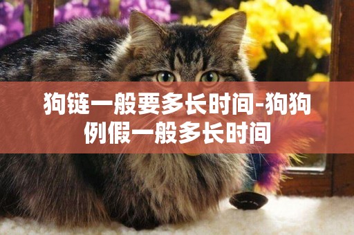 狗鏈一般要多長時間-狗狗例假一般多長時間
