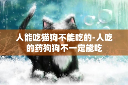 人能吃貓狗不能吃的-人吃的藥狗狗不一定能吃