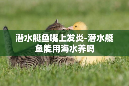 潛水艇魚嘴上發炎-潛水艇魚能用海水養嗎
