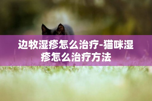邊牧濕疹怎么治療-貓咪濕疹怎么治療方法