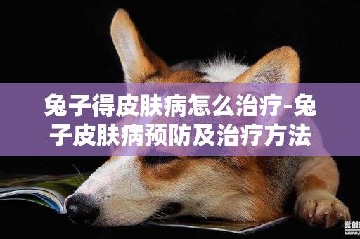 兔子得皮膚病怎么治療-兔子皮膚病預防及治療方法