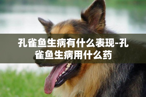 孔雀魚生病有什么表現-孔雀魚生病用什么藥