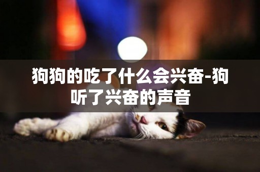 狗狗的吃了什么會興奮-狗聽了興奮的聲音
