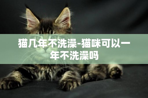 貓幾年不洗澡-貓咪可以一年不洗澡嗎