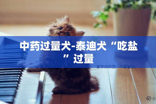中藥過量犬-泰迪犬“吃鹽”過量