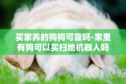 買家養的狗狗可靠嗎-家里有狗可以買掃地機器人嗎