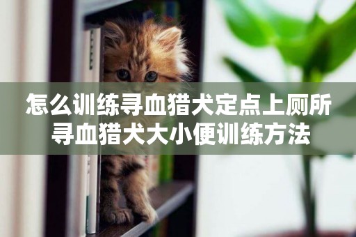 怎么訓練尋血獵犬定點上廁所 尋血獵犬大小便訓練方法
