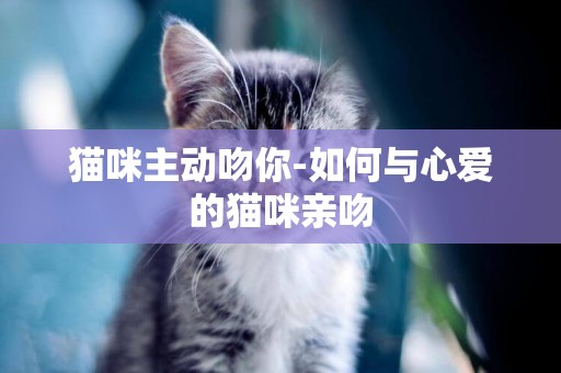 貓咪主動吻你-如何與心愛的貓咪親吻