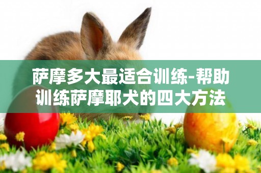 薩摩多大最適合訓練-幫助訓練薩摩耶犬的四大方法