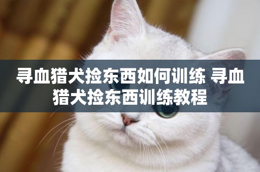 尋血獵犬撿東西如何訓練 尋血獵犬撿東西訓練教程