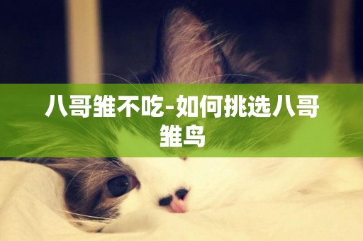 八哥雛不吃-如何挑選八哥雛鳥