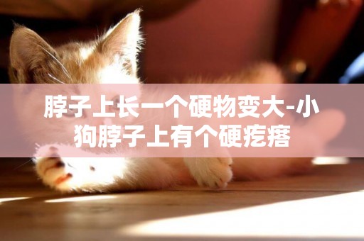 脖子上長一個硬物變大-小狗脖子上有個硬疙瘩