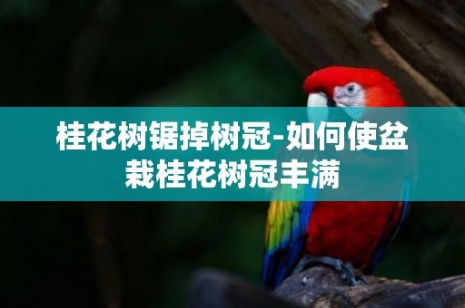 桂花樹鋸掉樹冠-如何使盆栽桂花樹冠豐滿