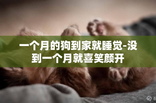 一個月的狗到家就睡覺-沒到一個月就喜笑顏開