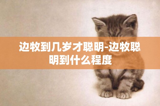 邊牧到幾歲才聰明-邊牧聰明到什么程度