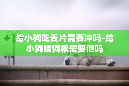 給小狗吃麥片需要沖嗎-給小狗喂狗糧需要泡嗎