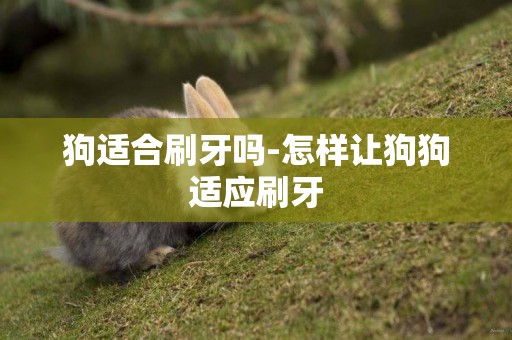 狗適合刷牙嗎-怎樣讓狗狗適應刷牙