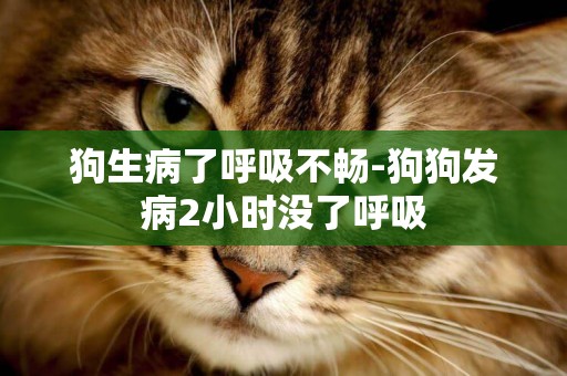 狗生病了呼吸不暢-狗狗發病2小時沒了呼吸