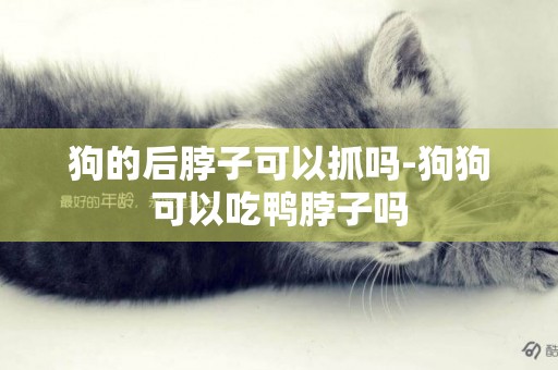 狗的后脖子可以抓嗎-狗狗可以吃鴨脖子嗎