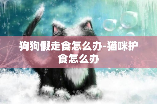 狗狗假走食怎么辦-貓咪護食怎么辦
