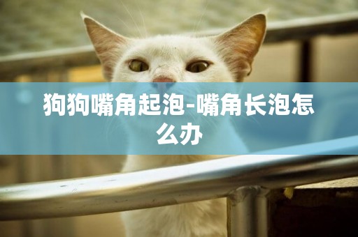 狗狗嘴角起泡-嘴角長泡怎么辦
