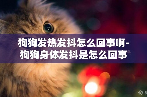狗狗發熱發抖怎么回事啊-狗狗身體發抖是怎么回事