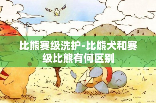 比熊賽級洗護-比熊犬和賽級比熊有何區別