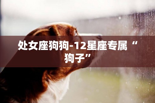 處女座狗狗-12星座專屬“狗子”