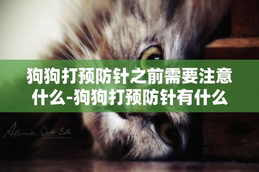 狗狗打預防針之前需要注意什么-狗狗打預防針有什么注意事項