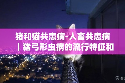 豬和貓共患病-人畜共患病｜豬弓形蟲病的流行特征和臨床癥狀