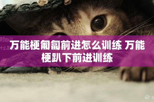 萬能梗匍匐前進怎么訓練 萬能梗趴下前進訓練