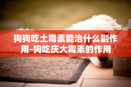 狗狗吃土霉素能治什么副作用-狗吃慶大霉素的作用