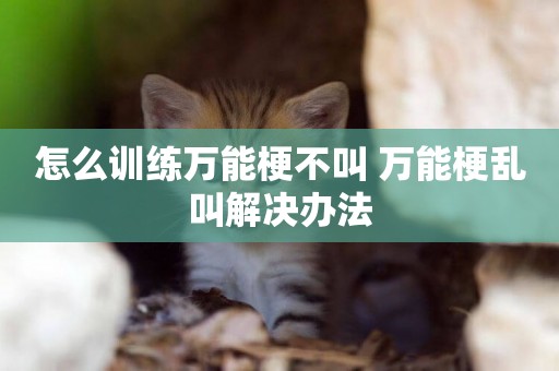 怎么訓練萬能梗不叫 萬能梗亂叫解決辦法