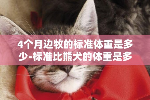 4個月邊牧的標準體重是多少-標準比熊犬的體重是多少