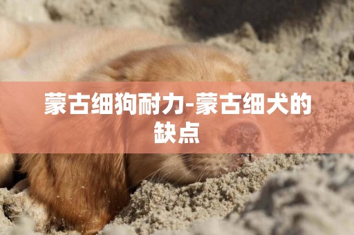 蒙古細狗耐力-蒙古細犬的缺點
