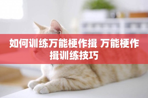 如何訓練萬能梗作揖 萬能梗作揖訓練技巧