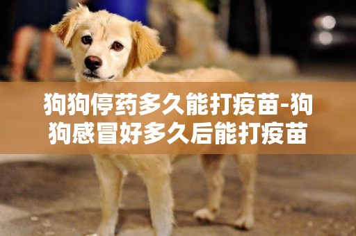 狗狗停藥多久能打疫苗-狗狗感冒好多久后能打疫苗