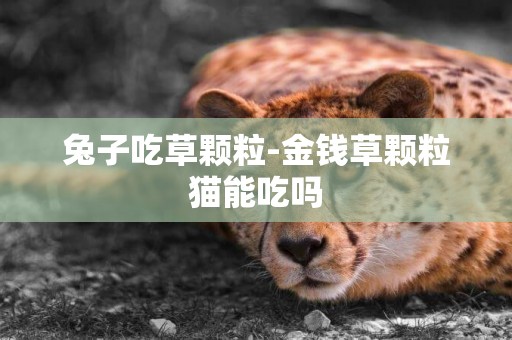 兔子吃草顆粒-金錢草顆粒貓能吃嗎
