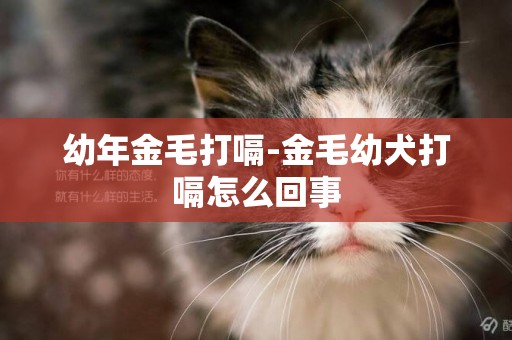 幼年金毛打嗝-金毛幼犬打嗝怎么回事