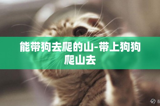 能帶狗去爬的山-帶上狗狗爬山去