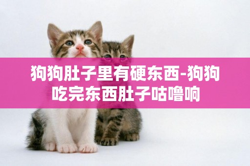 狗狗肚子里有硬東西-狗狗吃完東西肚子咕嚕響
