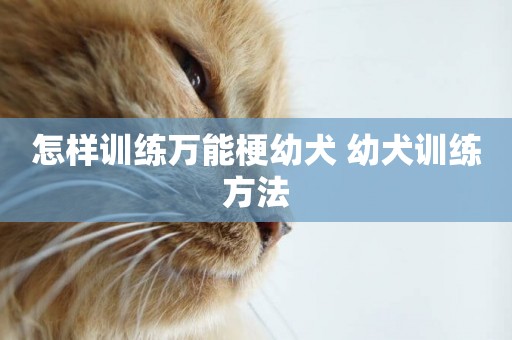 怎樣訓練萬能梗幼犬 幼犬訓練方法