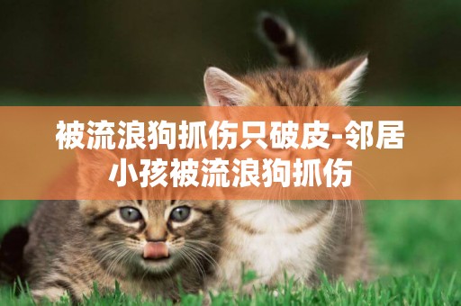 被流浪狗抓傷只破皮-鄰居小孩被流浪狗抓傷